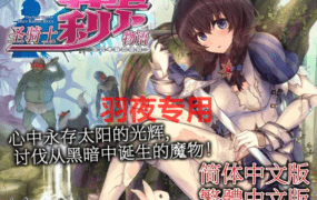 [大型ACT/新作/官方中文/有动画] 圣骑士莉卡物语 白翼与淫翼姐妹 V1.3.2 Bui702【中文版】[4G/度盘]